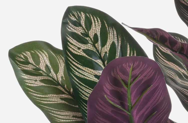 Künstliche Graspflanze mit langen, schmalen Blättern in Dunkelrot und Grün.