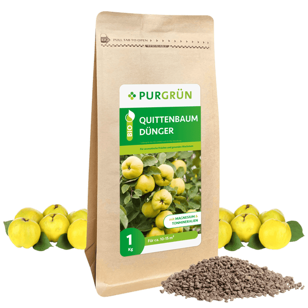 Purgrün Bio-Quittenbaum-Dünger 1 kg