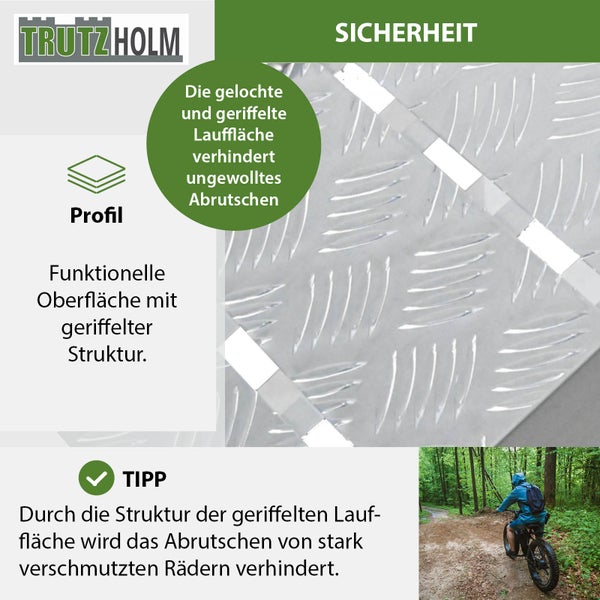 TRUTZHOLM 2 x Auffahrrampe klappbar 226 cm Traglast 1360 kg Alu grau Motorradrampen Verladerampen