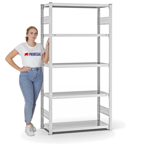 PROREGAL Fachbodenregal Stecksystem T-Profil Medium-Duty Grundregal HxBxT 200 x 100 x 40 cm 5 Ebenen Fachlast 225 kg Beidseitig Nutzbar Lichtgrau