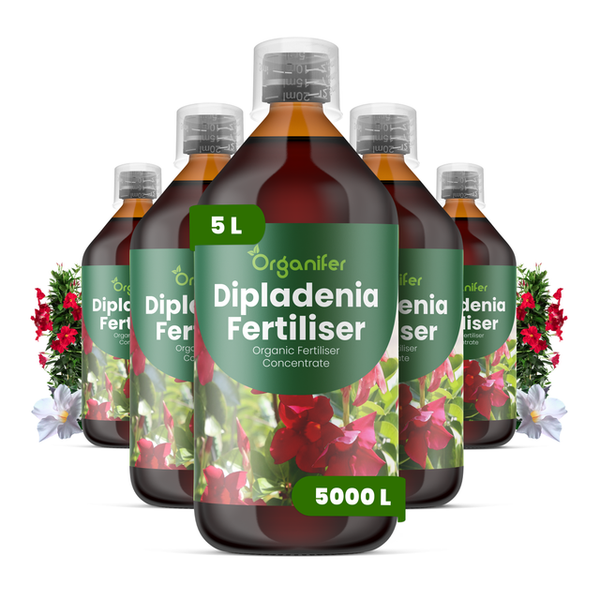 Fünf Flaschen Organifer Dipladenia-Dünger, organisches Düngerkonzentrat, insgesamt 5 Liter.