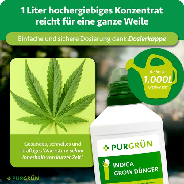 Purgrün Indica Grow Dünger, 1 Liter Konzentrat ergibt bis zu 1000 Liter Gießwasser, inklusive Dosierkappe für gesundes und kräftiges Wachstum.
