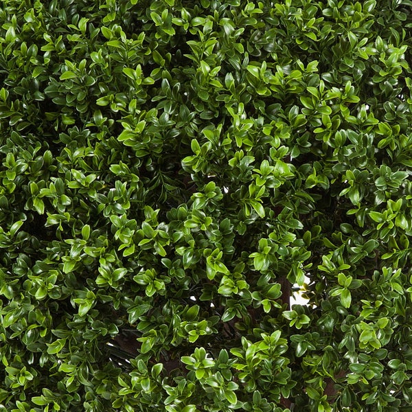 Nahaufnahme einer dichten künstlichen Buchsbaumhecke mit kleinen grünen Blättern.