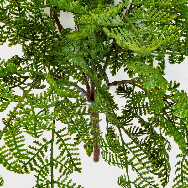 Blühender Stängel einer Prachtkerze mit rosa Blüten und grünen Knospen