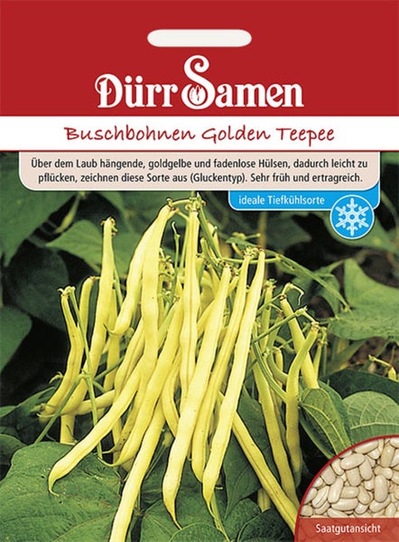 Dürr Samen Logo, Saatgutpackung Buschbohnen Golden Teepee mit Abbildung gelber Bohnen am Strauch, einer Saatgutansicht und Eignung zum Tiefkühlen.