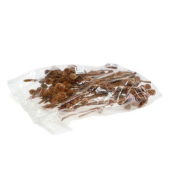 Packung mit dekorativen Zapfen auf Stielen in einer Plastiktüte