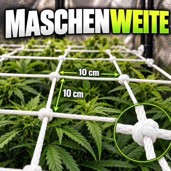 Weißes Pflanzengitter für Indoor Pflanzen mit zehn Zentimeter Maschenweite zur Unterstützung des Pflanzenwachstums.