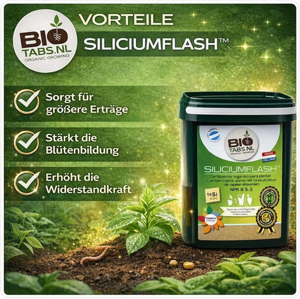 BioTabs.nl Logo. Siliciumflash organischer Dünger sorgt für größere Erträge, stärkt die Blütenbildung und erhöht die Widerstandskraft der Pflanzen.