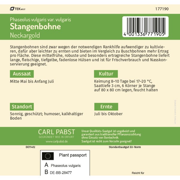 Stangenbohne fadenlos & robust Neckargold Samen von Pabst Keimkraft
