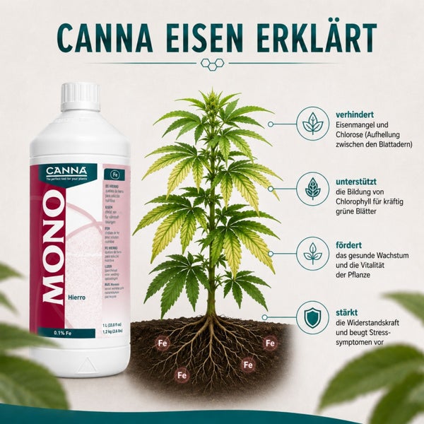 Canna Mono Eisen Düngerflasche mit Illustration der Wirkung auf eine Pflanze zur Vorbeugung von Eisenmangel und Chlorose.