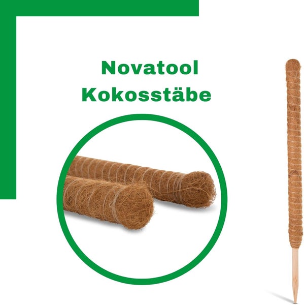 Novatool Kokosstäbe zur Unterstützung von Pflanzen, aus Kokosfaser mit Holzspitze und Detailansicht der groben Faserstruktur.