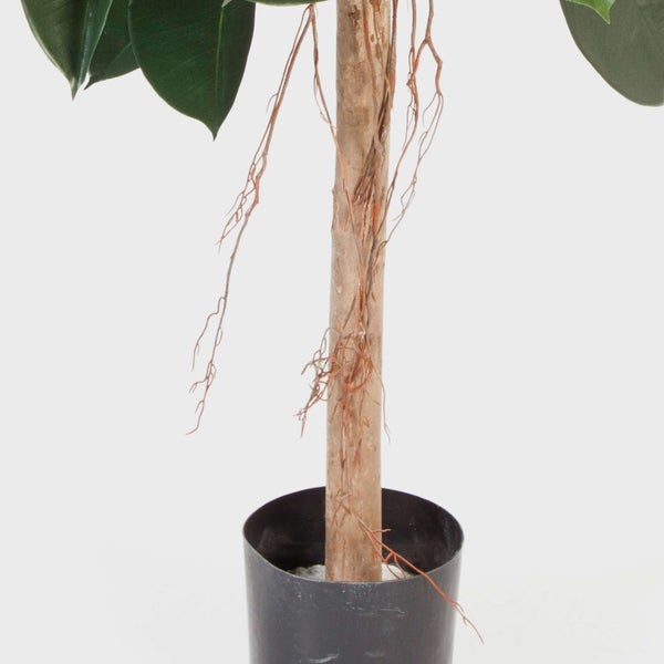 Künstliche Pflanze Ficus Elastica mit naturgetreuem Stamm und Luftwurzeln in einem schwarzen Kunststofftopf.
