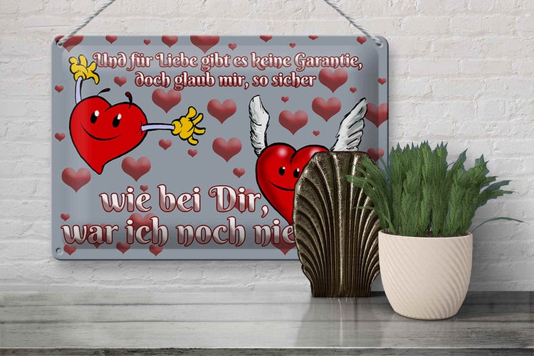 Blechschild Spruch 30x20cm Für Liebe gibt's keine