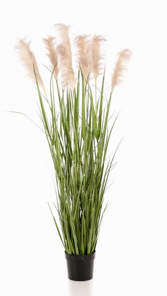 Künstliches Pampasgras mit flauschigen Wedeln und grünen Halmen.
