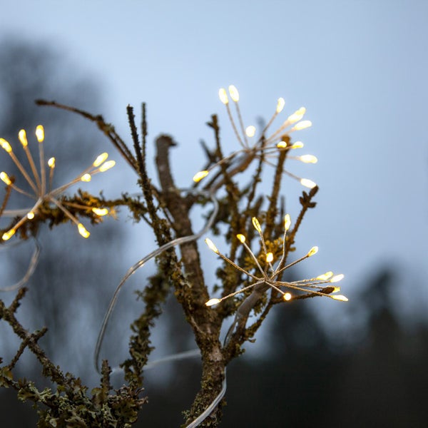 Lichterkette in Sternform um einen Baum gewickelt zur Dekoration