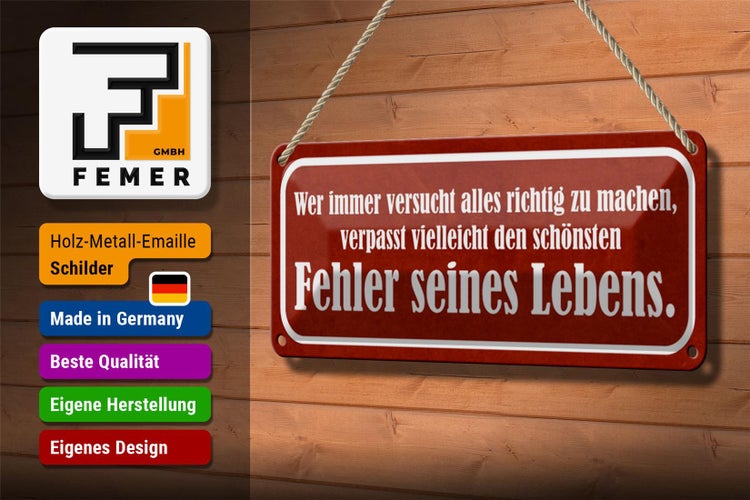 Blechschild Spruch 27x10cm schönster Fehler seines Lebens Dekoration