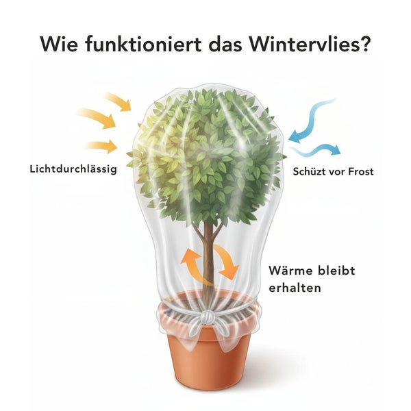 Infografik zur Funktionsweise von Wintervlies als Frostschutz für Pflanzen im Kübel, zeigt Lichtdurchlässigkeit und Wärmespeicherung.
