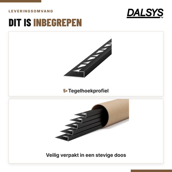 Dalsys Logo und Lieferumfang von fünf Fliesenabschlussleisten sicher verpackt in einer stabilen Kartonhülse.