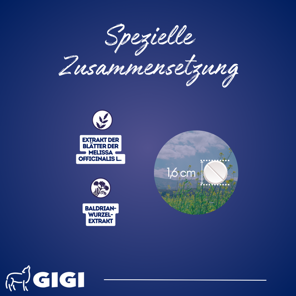 Produktinformation zu einer speziellen Zusammensetzung mit Melissenblättern und Baldrianwurzelextrakt, Gigi Logo