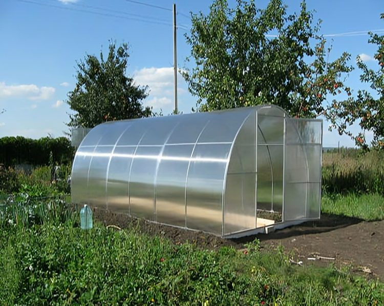Großzügiges bogenförmiges Tunnelgewächshaus mit transparenten Paneelen und Metallrahmen in einem hellen Garten.