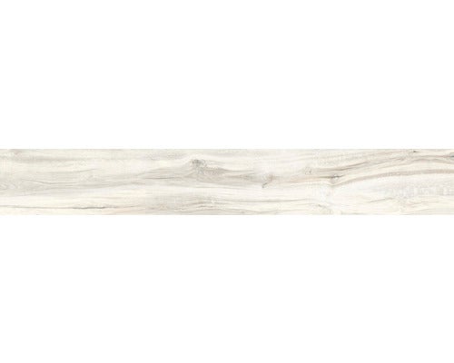 Wand- und Bodenfliese Aretino ivory 24x150x0,85cm