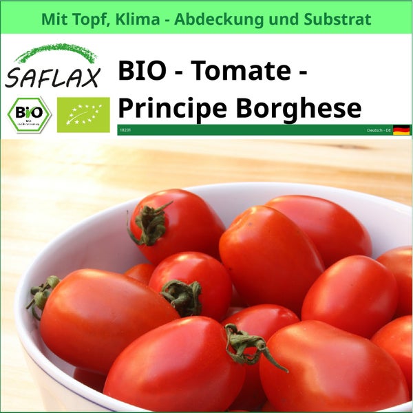 Bio Tomatensamen Principe Borghese im Topf mit Klimaabdeckung und Substrat