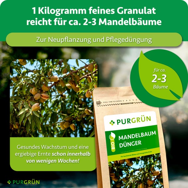 Purgrün Mandelbaum Dünger 1 Kilogramm feines Granulat für Neupflanzung und Pflegedüngung von 2 bis 3 Mandelbäumen für gesundes Wachstum.