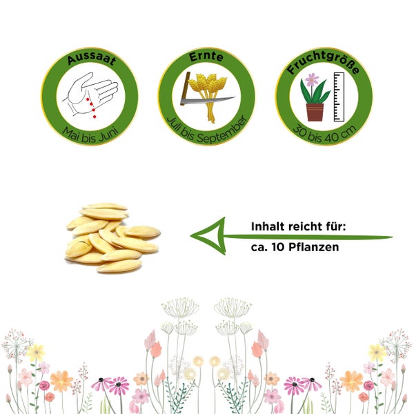 Symbole für Aussaat Mai bis Juni, Ernte Juli bis September, Fruchtgröße 30 bis 40 Zentimeter. Inhalt reicht für circa 10 Pflanzen.