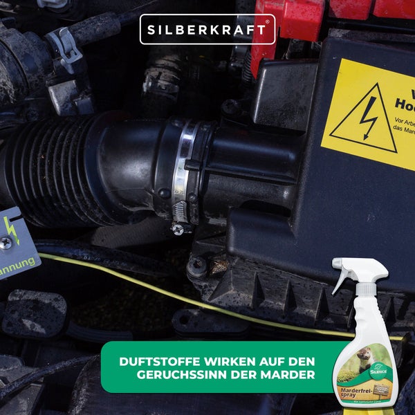 Silence Marder-Frei Spray zur Marderabwehr am Auto, schützt Kabel, Schläuche und Dämmmaterial im Motorraum, Spray für Garage, Carport, Stellplatz und Parkplatz, einfache Anwendung