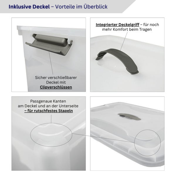Aufbewahrungsbox mit Deckel, Clipverschlüssen und integriertem Tragegriff
