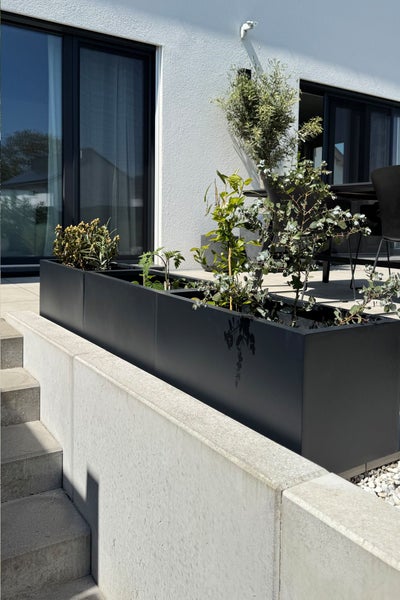 Schwarze rechteckige Pflanzkübel auf einer modernen Terrasse neben Betontreppen mit verschiedenen Grünpflanzen.