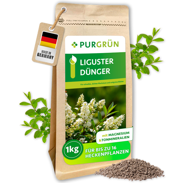 Purgrün Liguster-Dünger für Heckenpflanzen, 1 Kilogramm Packung mit Magnesium und Tonmineralien, hergestellt in Deutschland.