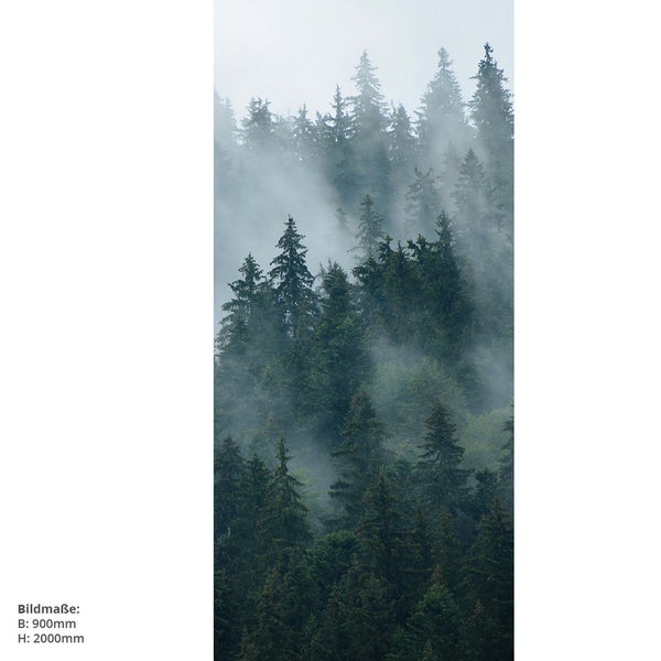 Nadelwald im Nebel