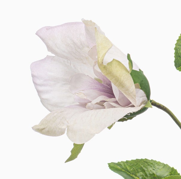 Künstlicher Hänge-Farn mit fein gegliederten Blättern.