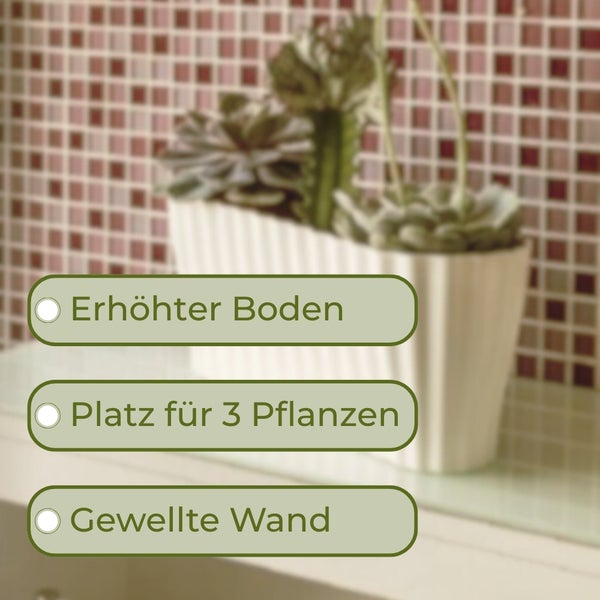 Blumentopf mit erhöhtem Boden, Platz für drei Pflanzen und gewellte Wand