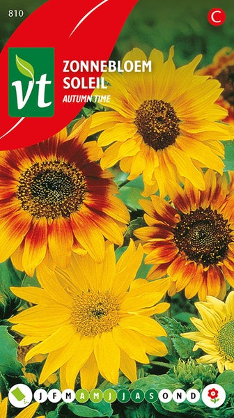 Sonnenblumen der Sorte Autumn Time auf einer Verpackung