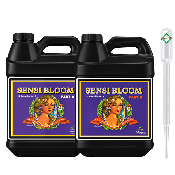Zwei schwarze Kanister Advanced Nutrients Sensi Bloom Teil A und Teil B mit Pipette zur Pflanzenversorgung