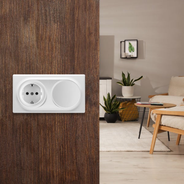 Eine doppelte Steckdose mit einem freien Platz in einem modernen Wohnzimmerambiente an einer Holzwand montiert.