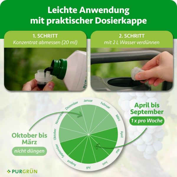 Purgrün Bio-Weinreben-Dünger 1 Liter