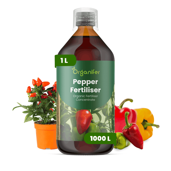 Organifer Paprika-Dünger, organisches Flüssigdünger-Konzentrat für Paprika und Chili, 1 Liter Flasche.