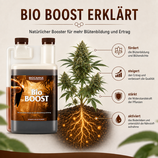 Biocanna Bio Boost Pflanzendünger in einer Flasche mit Infografik zur Wirkung auf Blütenbildung, Ertrag, Widerstandsfähigkeit und Bodenaktivität.