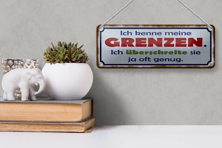 Blechschild Spruch 27x10cm ich kenne meine Grenzen Dekoration