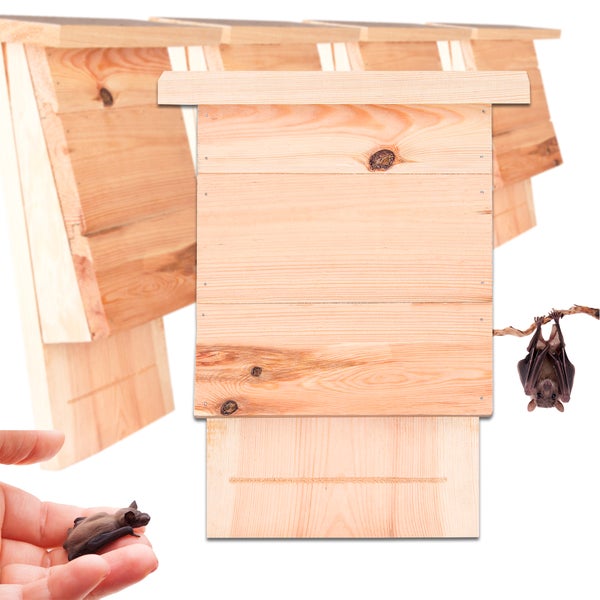 Fledermauskasten aus Holz mit Fledermaus