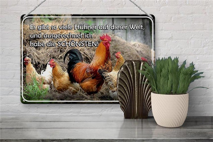 Blechschild Spruch 30x20cm es gibt so viele Hühner und