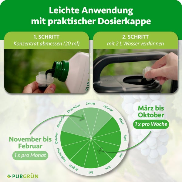Anwendungshinweise: 20 Milliliter Konzentrat auf 2 Liter Wasser. März bis Oktober wöchentlich, sonst monatlich. Purgrün Logo.