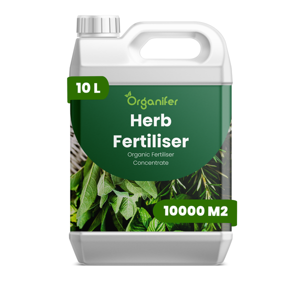 Organifer Bio-Kräuterdünger Konzentrat, 10 Liter Kanister für 10000 Quadratmeter.
