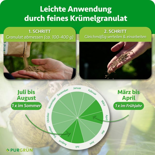 Anwendungshinweise und Ausbringungszeitraum für PURGRÜN Düngergranulat als Infografik mit zwei Anwendungsschritten und einem Jahreskalender.