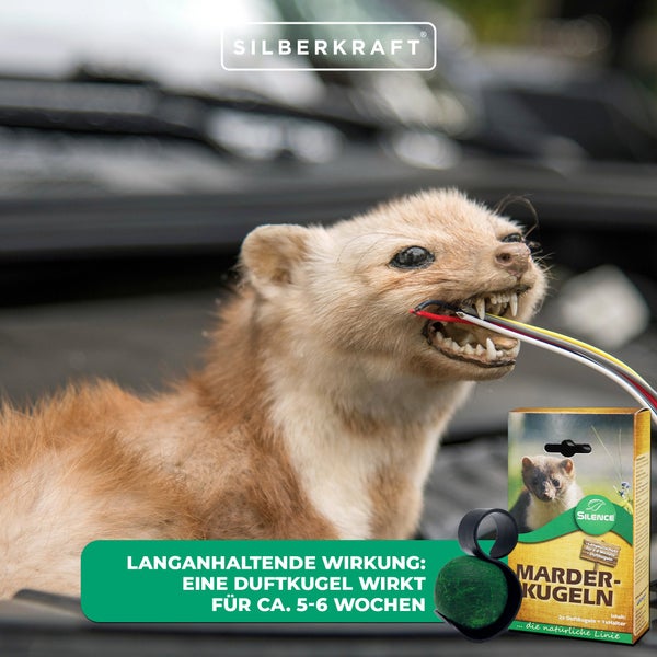 Silence Marder-Duftkugeln zur Marderabwehr im Auto, schützt Motorraum vor Marderschäden an Kabeln, Schläuchen und Dämmung, für PKW, Transporter, inkl. Halter, Langzeitschutz, 2er-Set