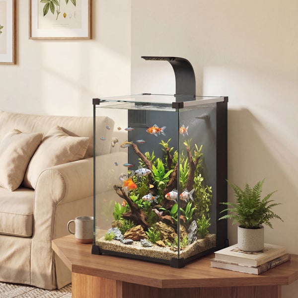 Modernes, hohes Glasaquarium mit LED-Beleuchtung auf einem Holztisch im Wohnzimmer, eingerichtet mit Wasserpflanzen, Wurzeln und Fischen.