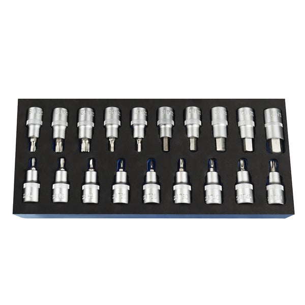 PROREGAL Werkzeug Satz Werkstattwagen Cheetah Innensechskant Innensechsrund 1/2 19 Teile mit Schaumstoff Schubladeneinlage HxBxT 4,6 x 34 x 12,5 cm